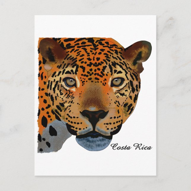 Carte Postale Costa Rica Jaguar (Devant)