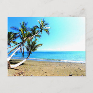 Carte Postale Costa Rica, plage avec palmier