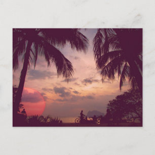 Carte Postale Costa Rica Playa Flamant rose Paradise trouvé