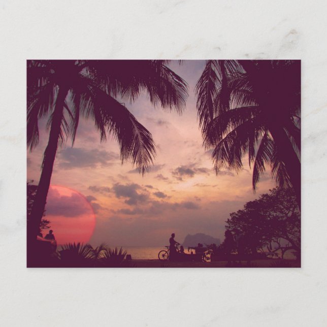 Carte Postale Costa Rica Playa Flamant rose Paradise trouvé (Devant)