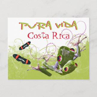 Carte postale Costa Rica Pura Vida Tree Frog