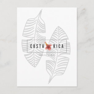 Carte postale Costa Rica Pura Vida Tropical Leaf