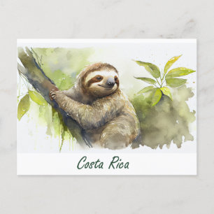 Carte Postale Costa Rica Sloth