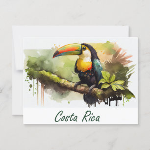 Carte Postale Costa Rica Toucan