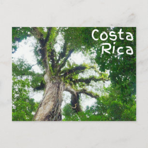 Carte postale Costa Rica Tree Photography