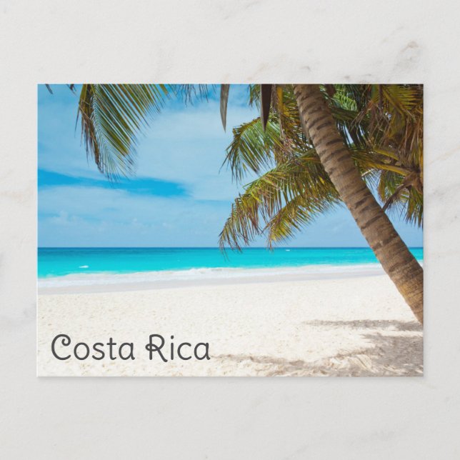 Carte Postale Costa Rica Tropical Beach Palm Tree Voyage (Devant)