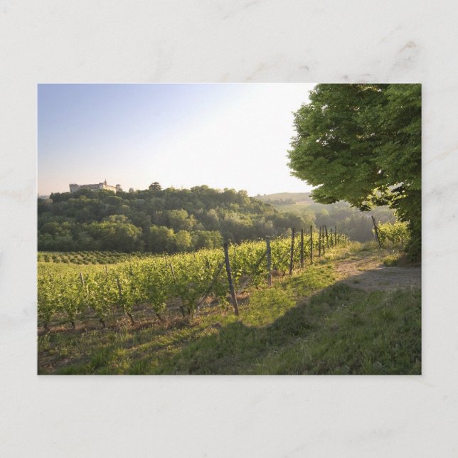 Carte Postale Costigliole d'Asti, Piémont, Italie (Devant)