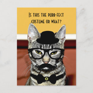 Carte Postale Costume de chat Purr-fect