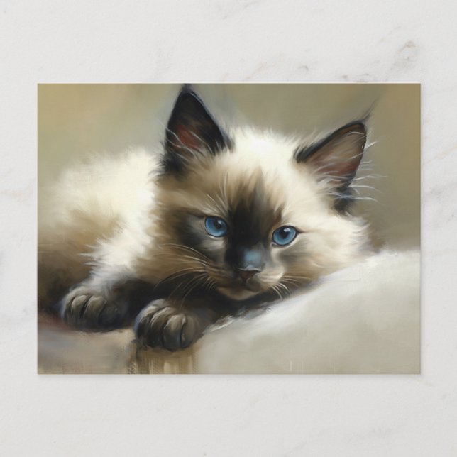 Carte Postale Cosy Companion Siamese Kitten (Devant)