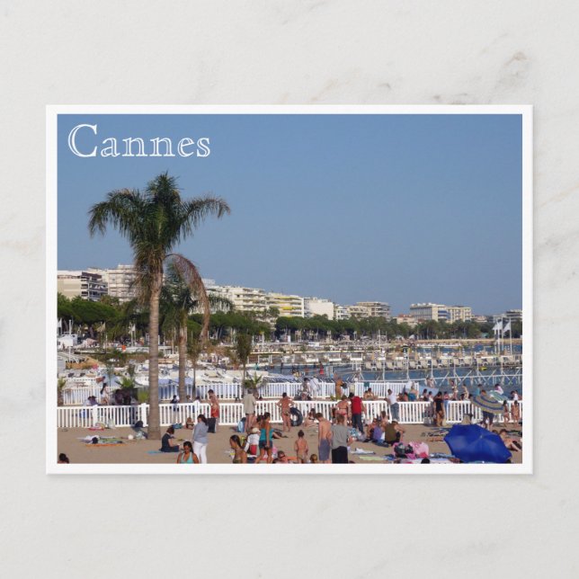 Carte Postale côte de cannes (Devant)