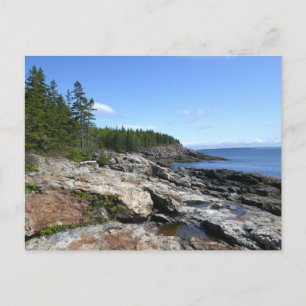 Carte Postale Côte de l'île Bar dans le parc national d'Acadia