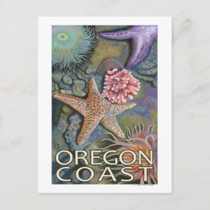 Carte Postale Côte de l'Oregon Tidepool