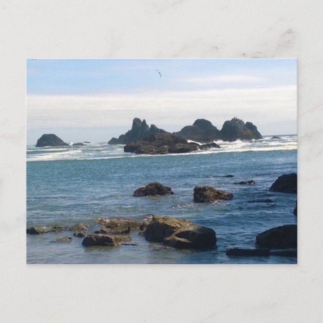 Carte Postale Côte de Seal Rock Oregon (Devant)