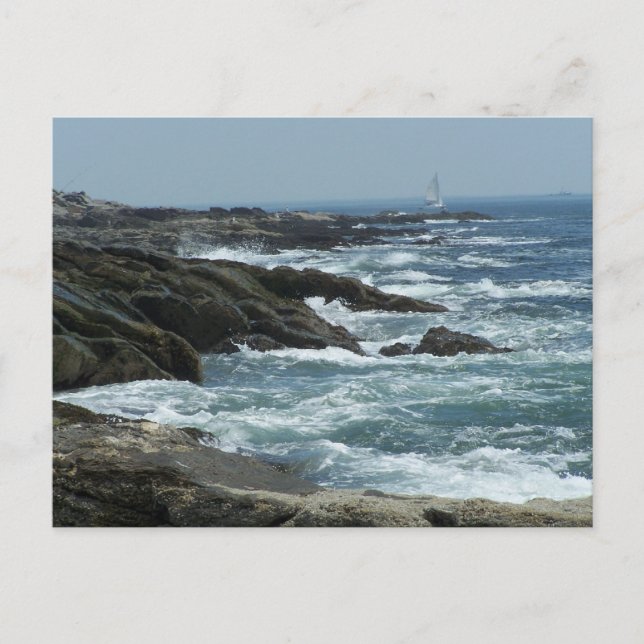 Carte Postale Côte du Maine (Devant)