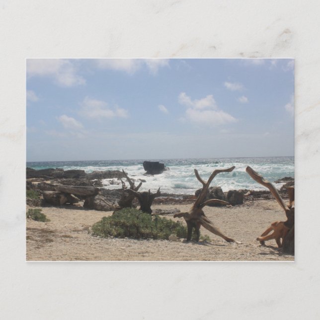 Carte Postale Côte Est de Cozumel (Devant)