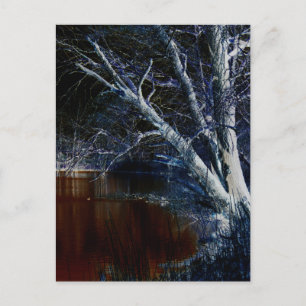 Carte Postale Côté foncé 7 pccna