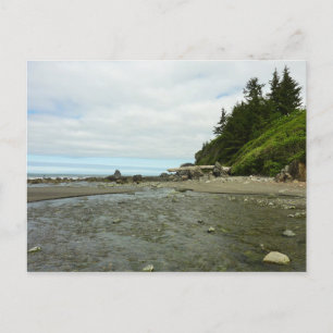Carte Postale Côte nord de la Californie à Redwood Park