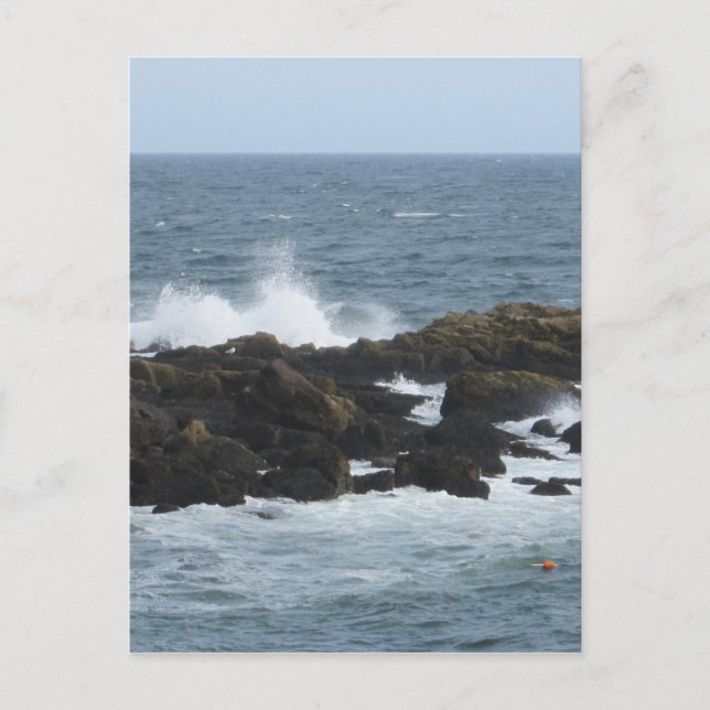 Carte Postale Côte rocheuse à York Maine (Devant)
