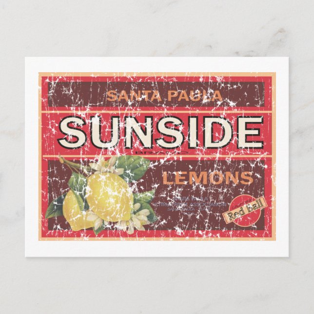 Carte Postale Côté soleil - en détresse (Devant)