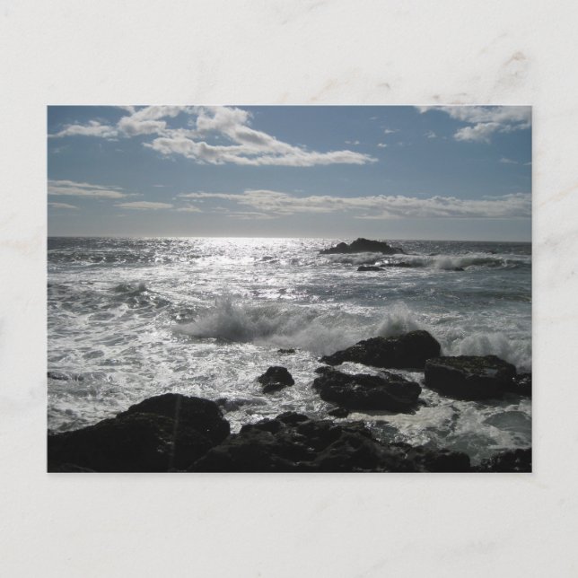 Carte Postale Côte Sonoma, Bodega, Ca Blank (Devant)