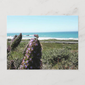Carte postale côtière