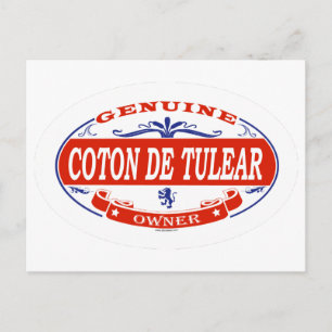 Carte Postale Coton De Tulear