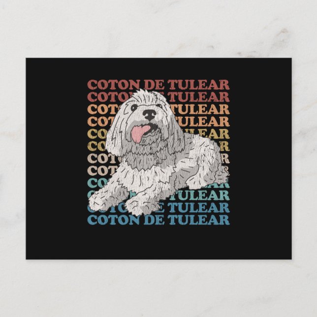 Carte Postale Coton de Tulear | Coton de Tulears du propriétaire (Devant)