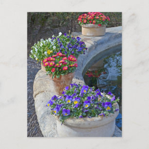 Carte Postale Cottage Garden Flowers