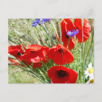 Cottage jardin, Rosalinde
