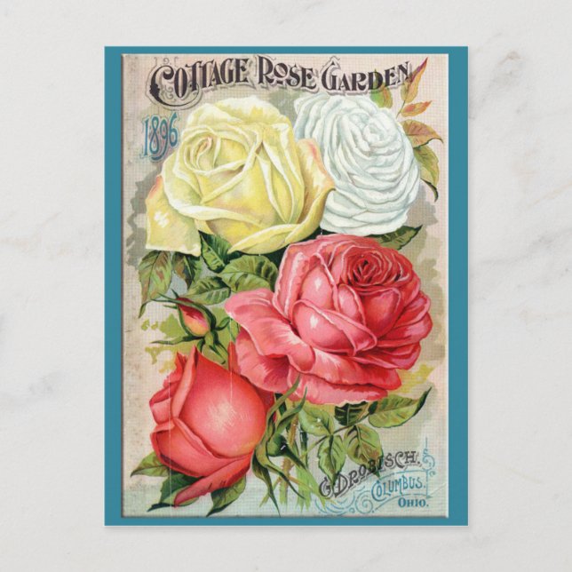 Carte Postale Cottage Rose Garden (Devant)