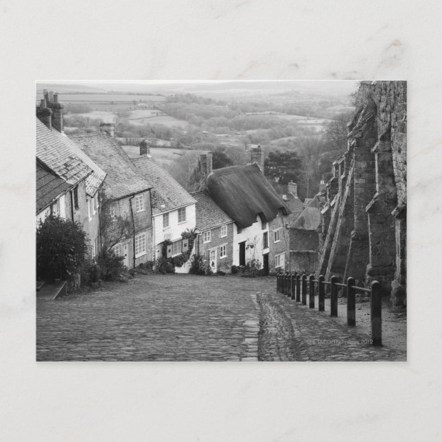Carte Postale Cottages sur une colline d'or, Shaftesbury, Dorset (Devant)