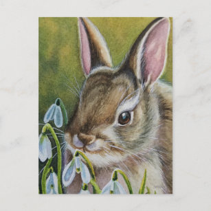 Carte Postale Cottontail Rabbit & Snowdrops Aquarelle Art