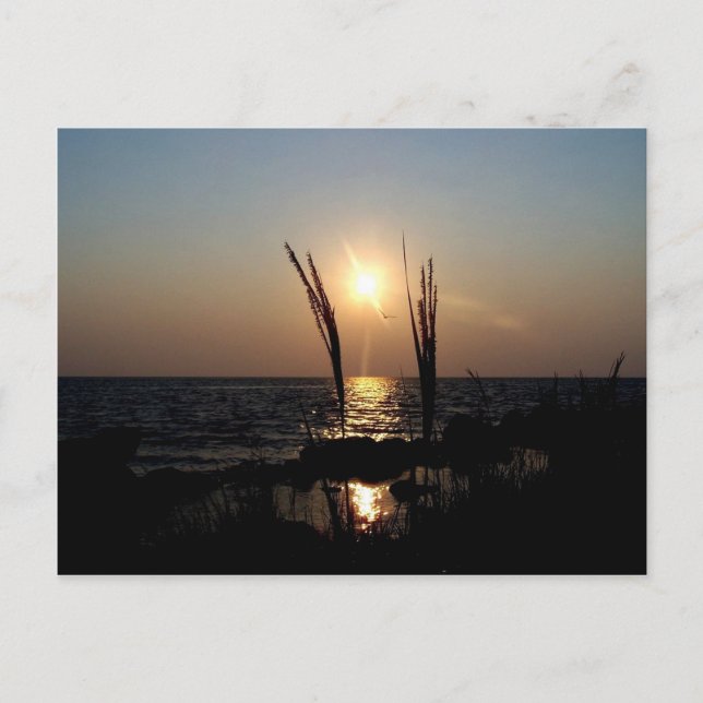 Carte Postale Couché de soleil de Floride (Devant)