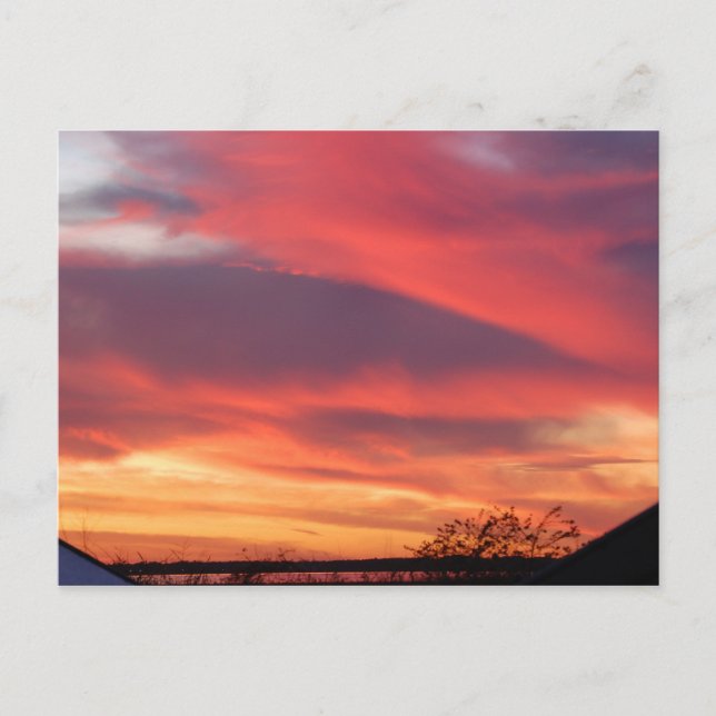 Carte Postale Couché de soleil de Floride (Devant)