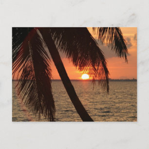 Carte Postale Couché de soleil de Floride