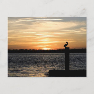 Carte Postale Couché de soleil de Floride avec Pélican