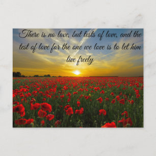 Carte Postale coucher de soleil