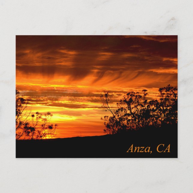 Carte Postale Coucher de soleil à Anza, Californie (Devant)