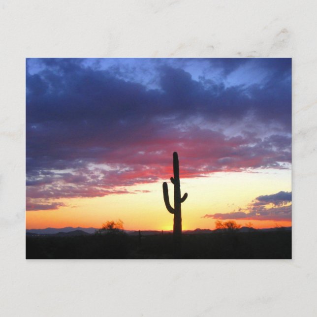 Carte Postale Coucher de soleil à Phoenix Arizona (Devant)