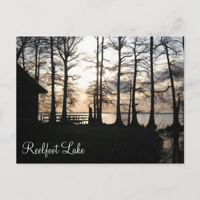 Carte Postale Coucher de soleil à Reelfoot (Devant)
