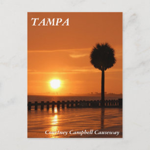 Carte Postale Coucher de soleil à Tampa Courtney Campbell Causew