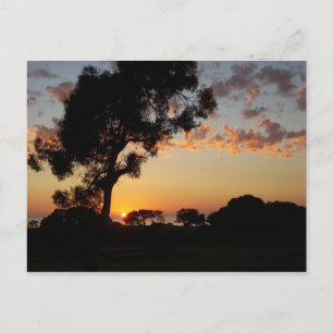 Carte Postale Coucher de soleil à Torrey Pines
