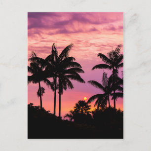 Carte Postale Coucher de soleil à travers les palmiers
