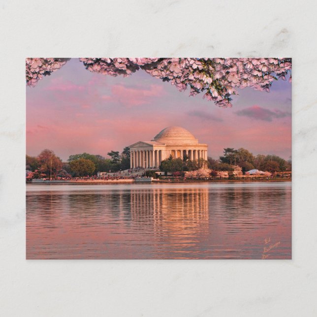 Carte Postale Coucher de soleil au mémorial Jeferson avec des fl (Devant)