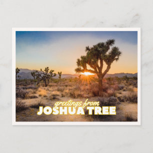 Carte Postale Coucher de soleil au parc national de Joshua Tree 
