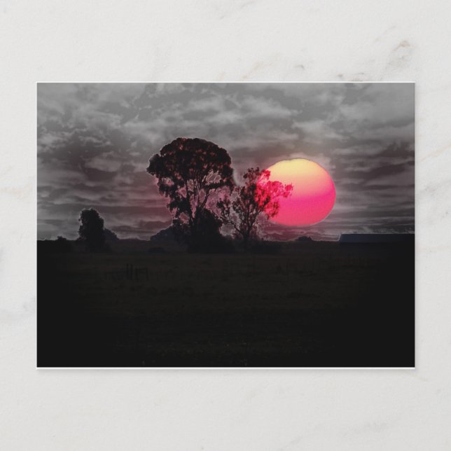 Carte Postale Coucher De Soleil Avec Arbre (Devant)