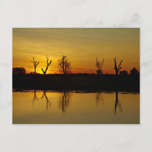 Carte Postale Coucher de soleil, Billabong de Yellow Water