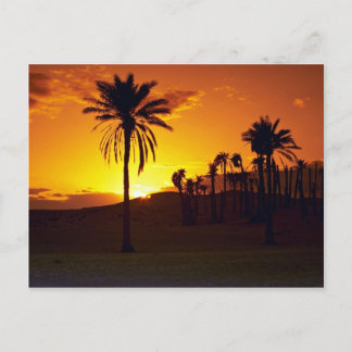 Carte Postale Coucher de soleil dans le désert, Le Sahara, Déser