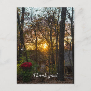 Carte Postale Coucher de soleil dans les bois de Sdc