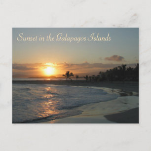 Carte Postale Coucher de soleil dans les îles Galapagos